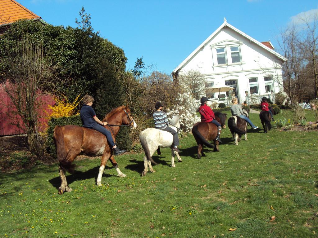Farm Stay Hof Auf Der Wurp Harrierwurp Esterno foto